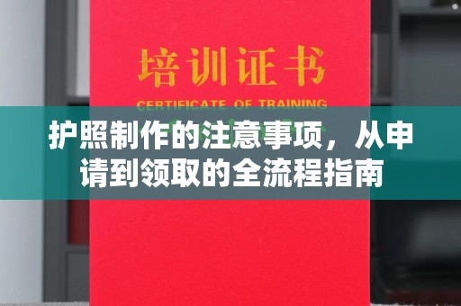 博野护照制作的注意事项，从申请到领取的全流程指南